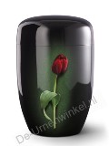 Design urn zwart met rode tulp
