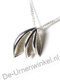 Click voor meer informatie