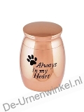Click voor meer informatie