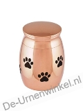 Click voor meer informatie