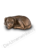 Click voor meer informatie