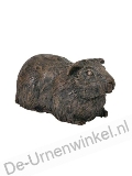 Click voor meer informatie