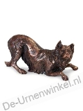 Click voor meer informatie