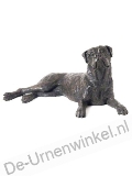 Click voor meer informatie