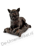 Click voor meer informatie