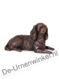 Click voor meer informatie