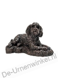 Click voor meer informatie