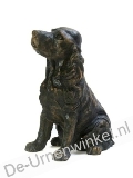 Click voor meer informatie