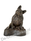 Click voor meer informatie