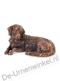 Click voor meer informatie