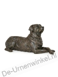 Click voor meer informatie