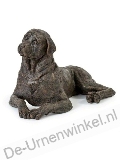 Click voor meer informatie