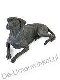 Click voor meer informatie
