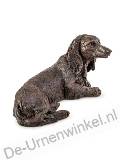 Click voor meer informatie