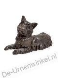 Click voor meer informatie