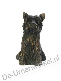 Click voor meer informatie