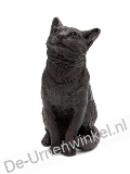 Click voor meer informatie