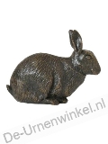 Click voor meer informatie