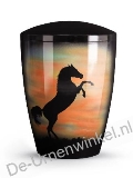 Click voor meer informatie