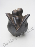 Click voor meer informatie