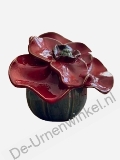 Click voor meer informatie