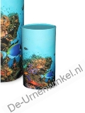 Click voor meer informatie