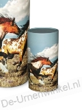 Click voor meer informatie