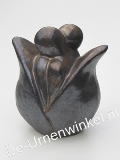 Click voor meer informatie