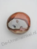 Click voor meer informatie