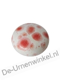 Click voor meer informatie