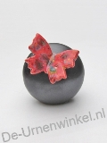 Click voor meer informatie