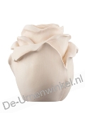 Click voor meer informatie