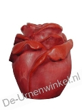 Click voor meer informatie