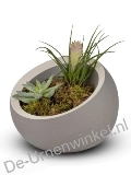 Click voor meer informatie