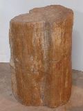 Versteend houten urn licht bruin tinten