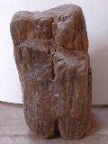 Versteend hout urn